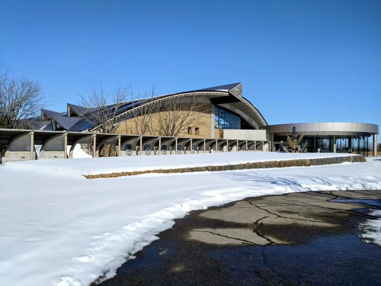 歴史博物館202401-131