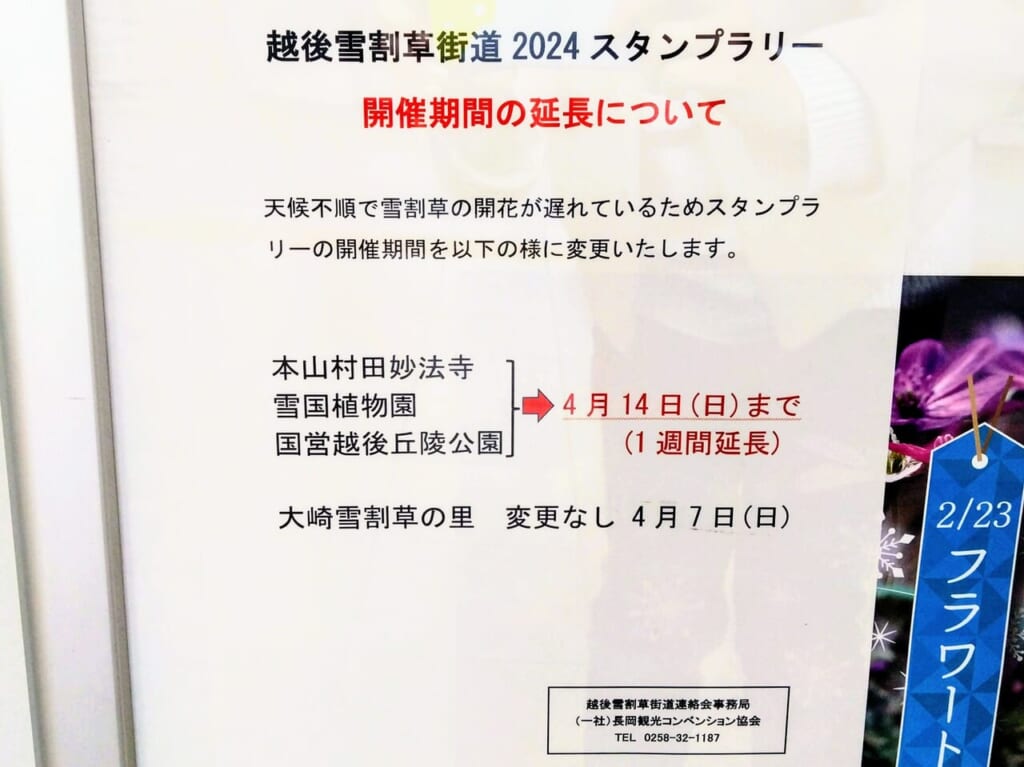 えちご雪割草街道2024ポスター4