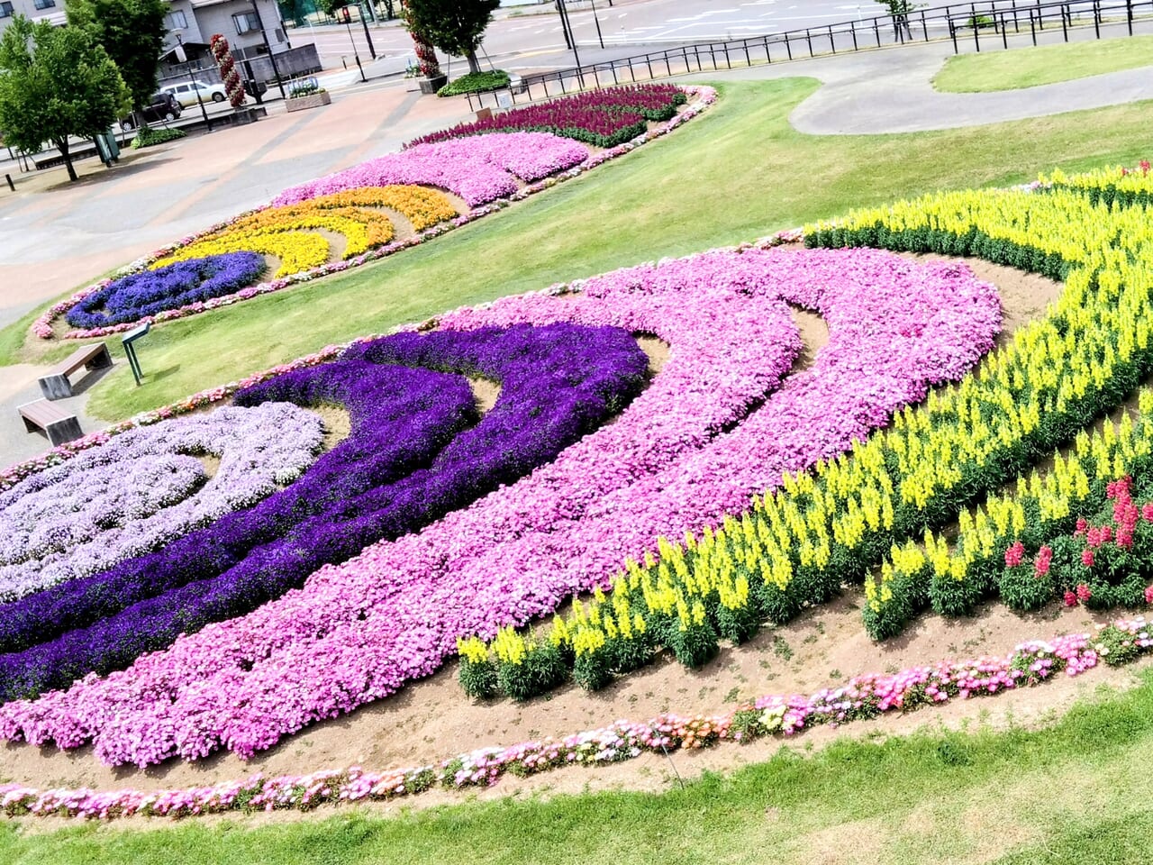 花テラス20240524-30