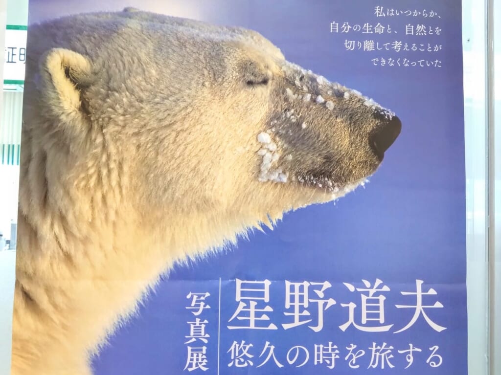 星野道夫_悠久の時を旅する_ポスター2