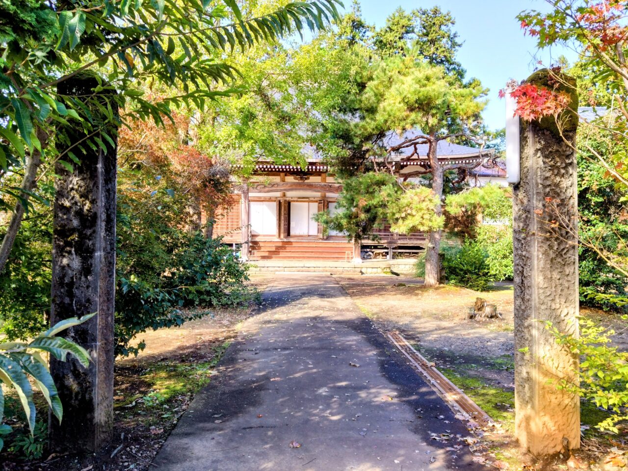 浄秀寺202411-11