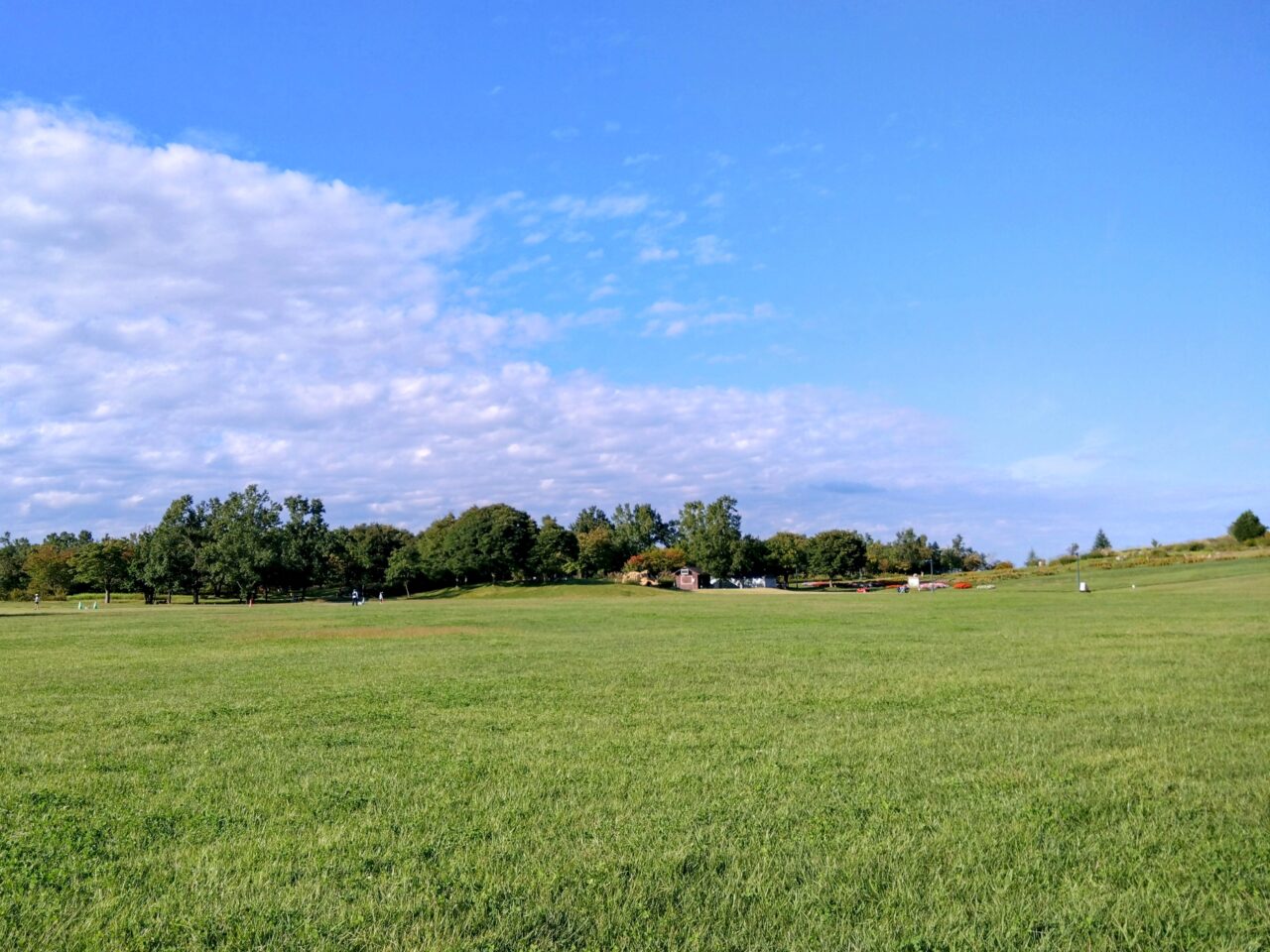 丘陵公園202410-36