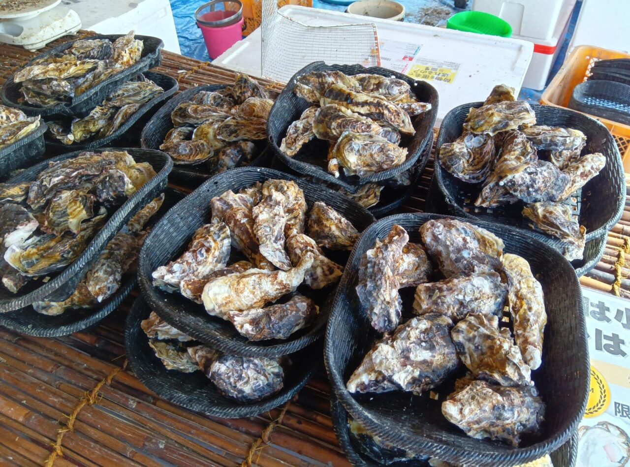 牡蠣奉行202503-11