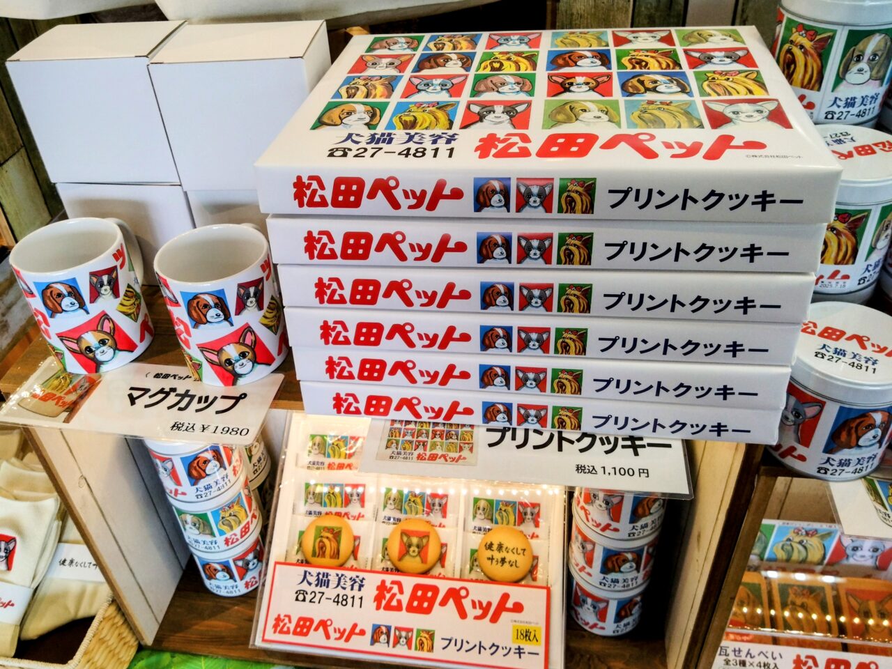 松田ペット202504-29