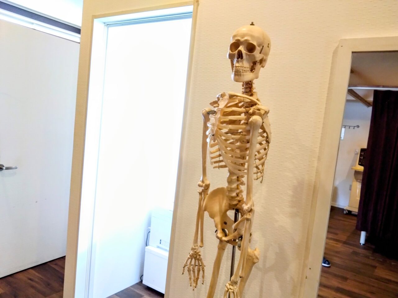 じゃぱん鍼灸りらく院202505-62
