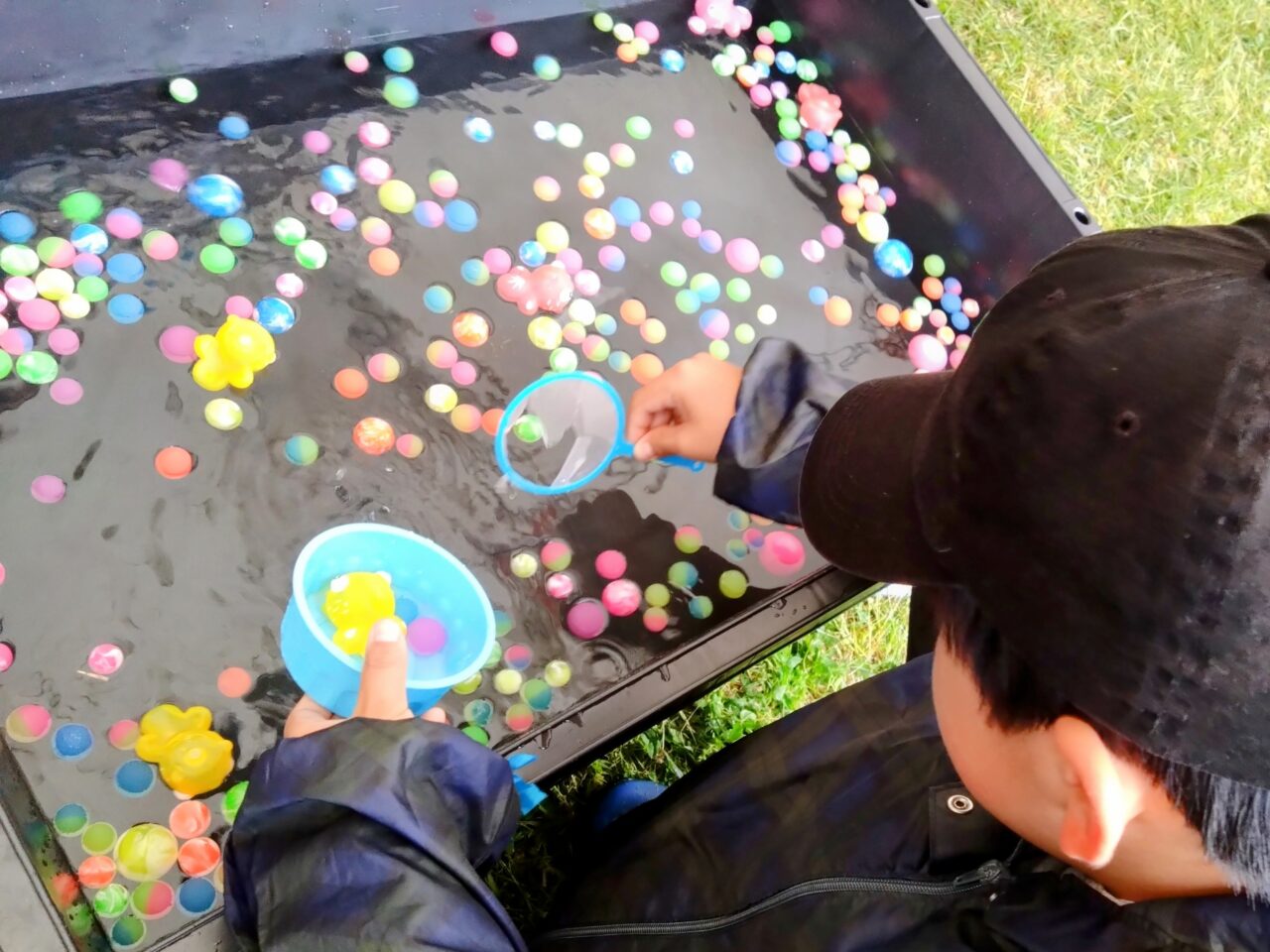 米フェス202505-29
