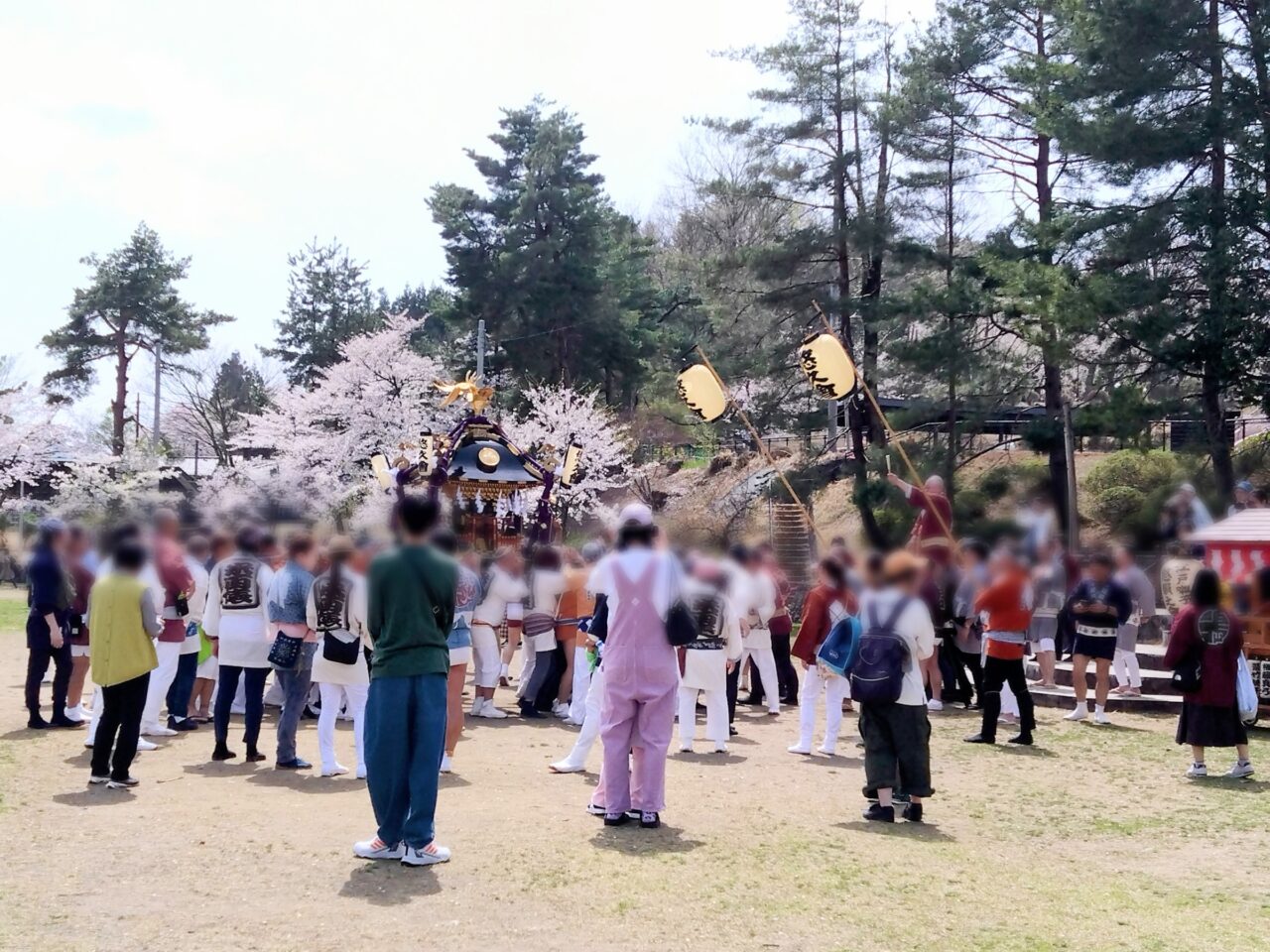 悠久山桜まつり202505-1