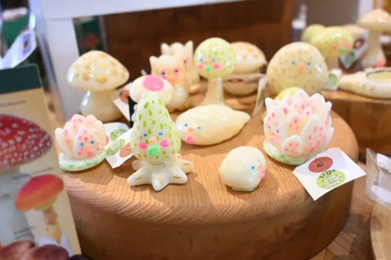 ドングリキノコ202506-13