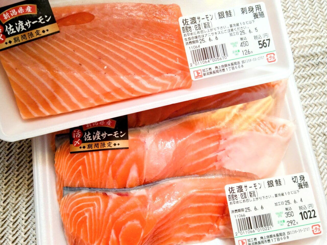 角上魚類202506-32