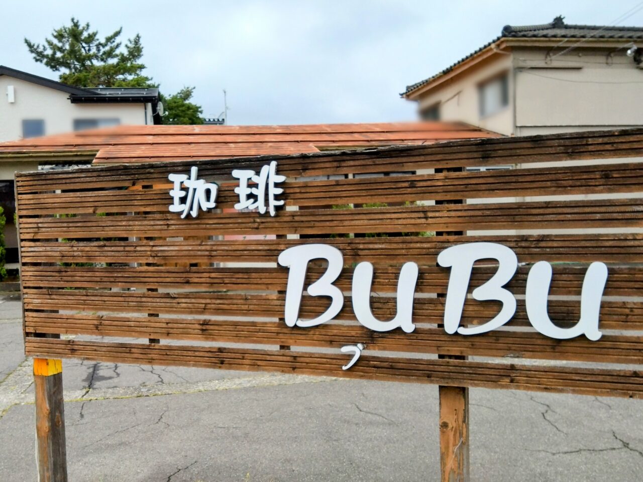BuBu202506-11