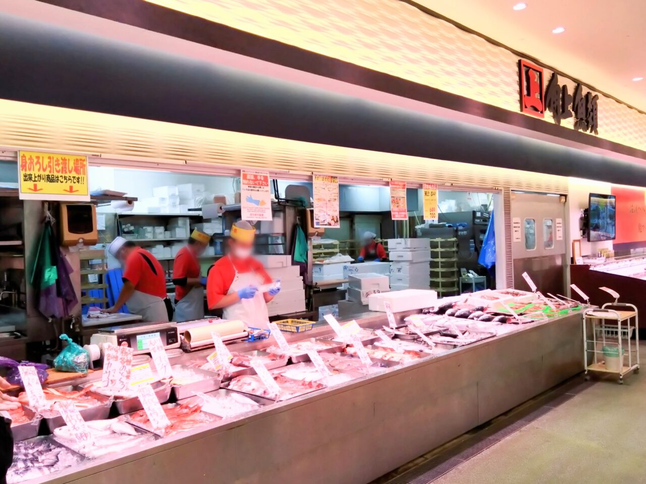 角上魚類202506-5