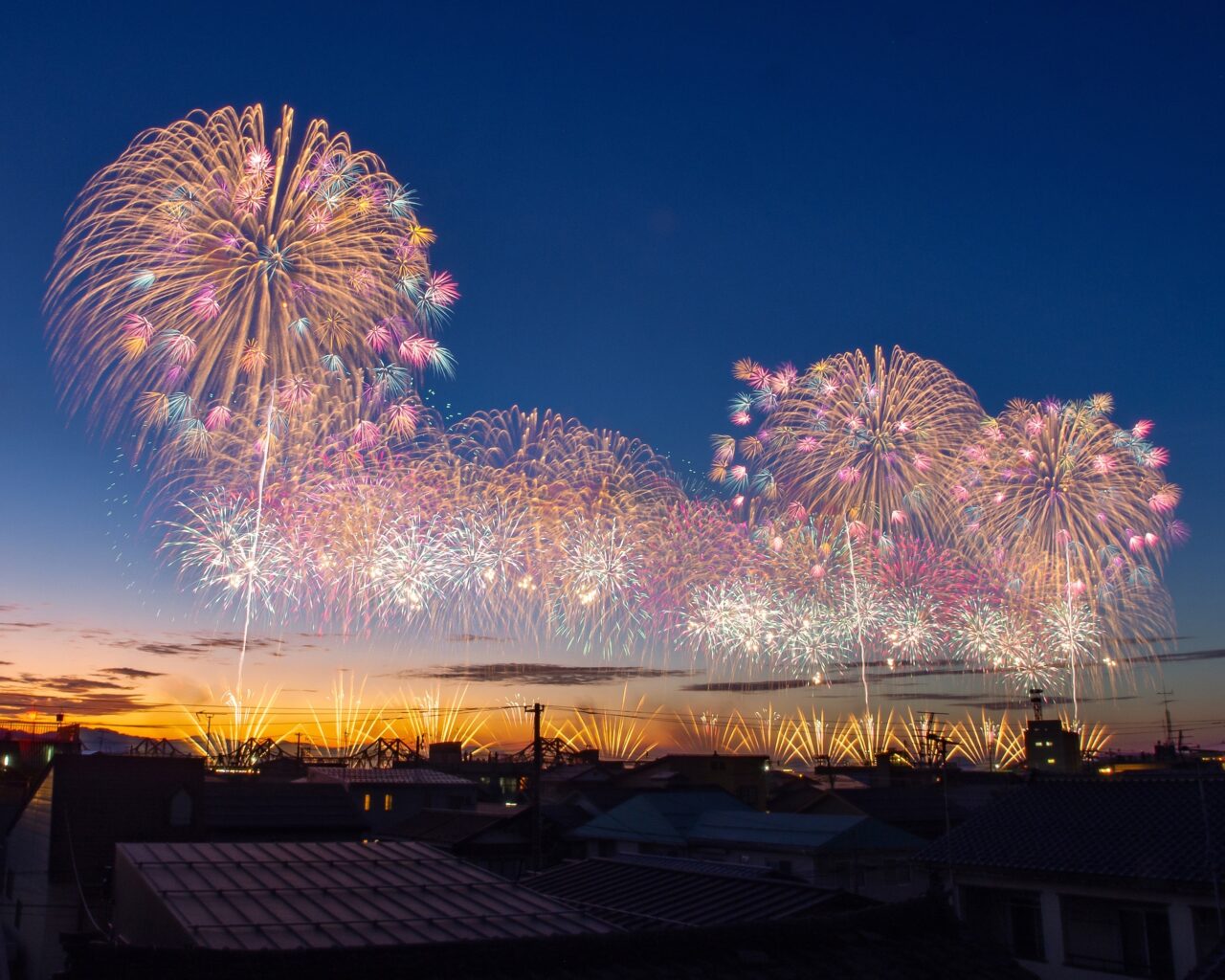 長岡花火_川上大貴2024-1