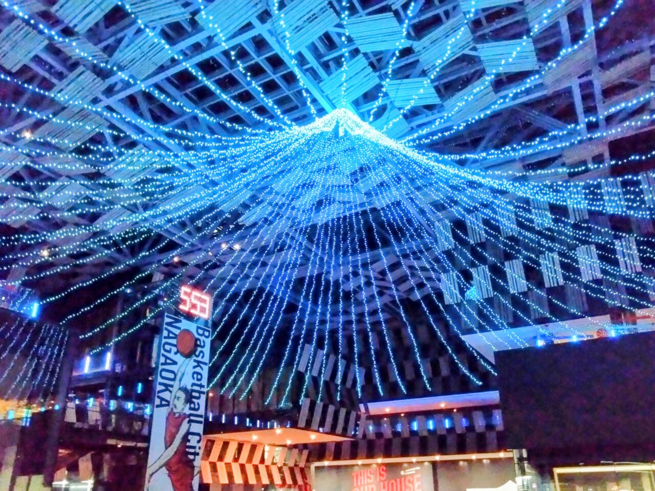 アオルミネーション2026-6